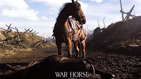 Search results for 'war horse' .